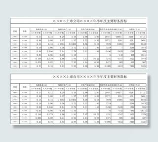 上市公司半年度主要财务指标