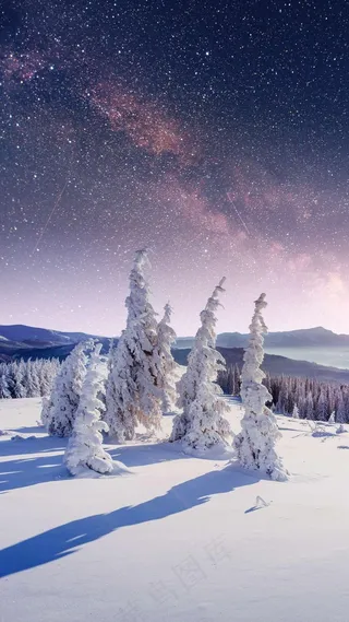 丛林雪地高清摄影图片