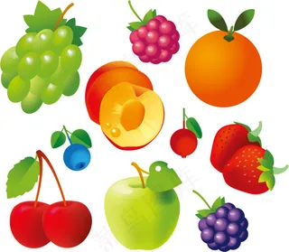 逼真诱人的水果矢量素材