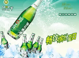 欢乐畅饮 饭店常用啤酒图片