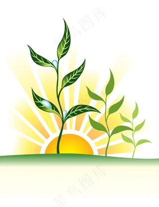 日落植物滴矢量素材