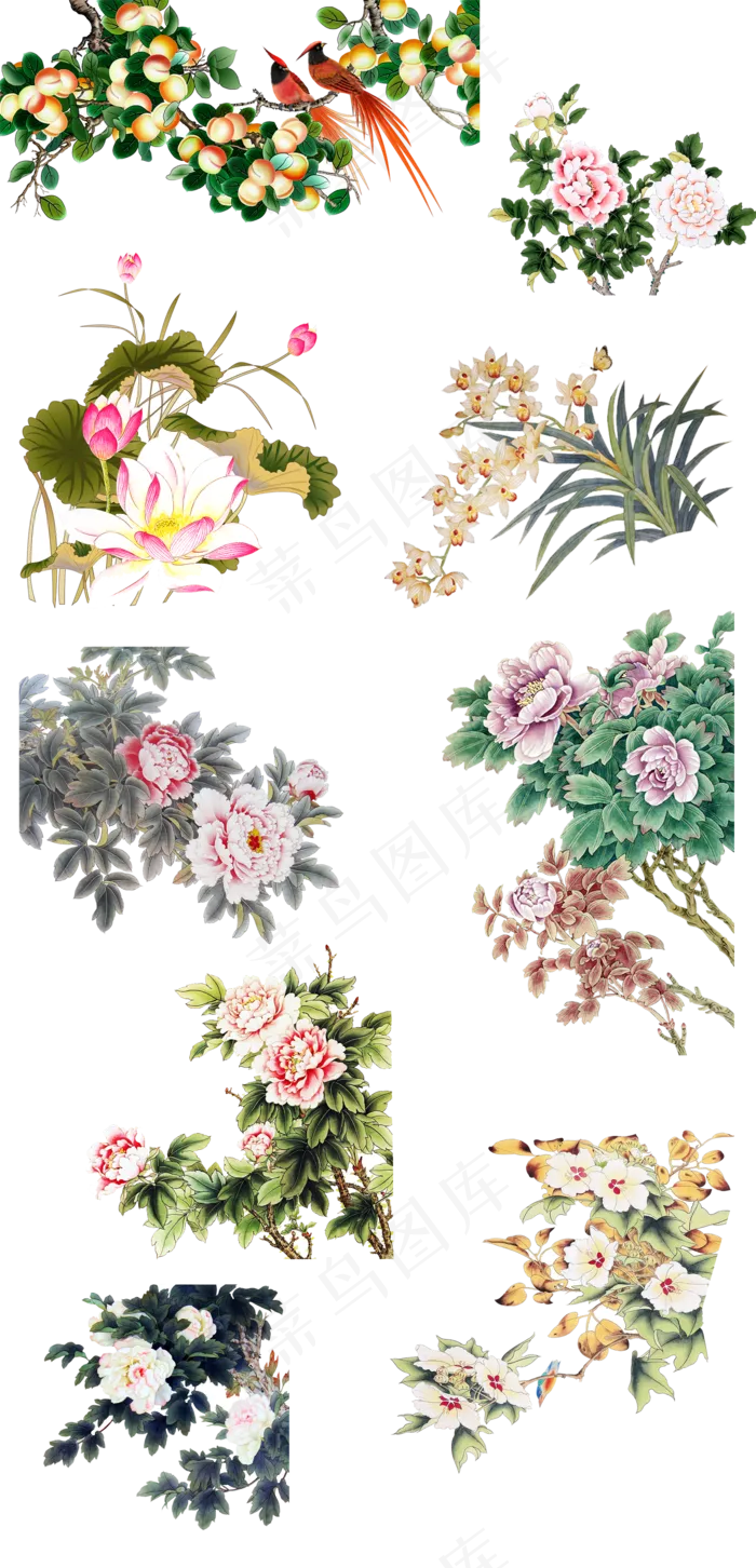 手绘水墨水彩书画工笔花鸟免扣海报素...(1500X3111)