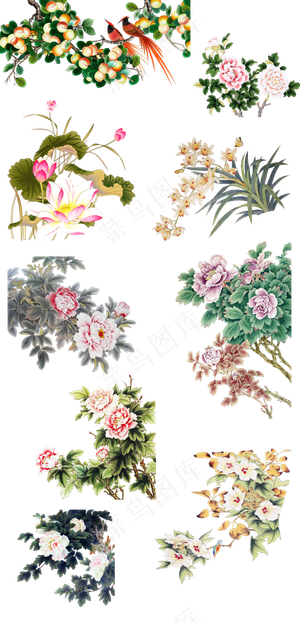 手绘水墨水彩书画工笔花鸟免扣海报素...