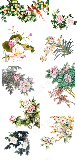 手绘水墨水彩书画工笔花鸟免扣海报素...