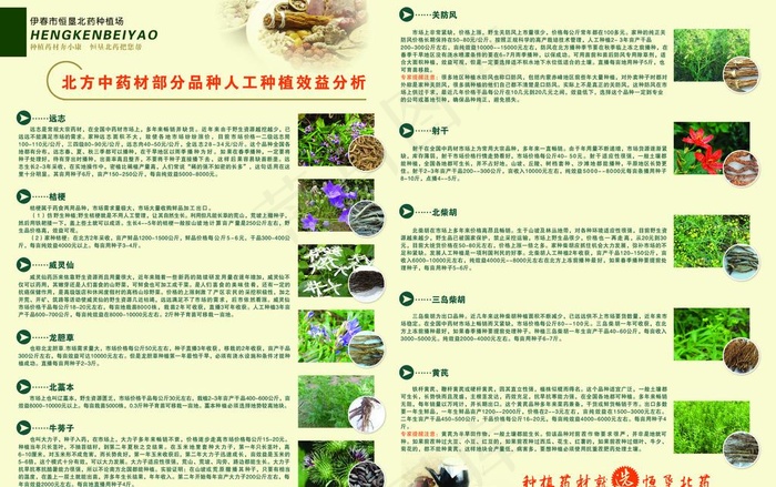 药材宣传单(5031X3437(DPI:300))psd模版下载