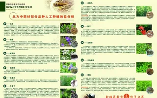 药材宣传单