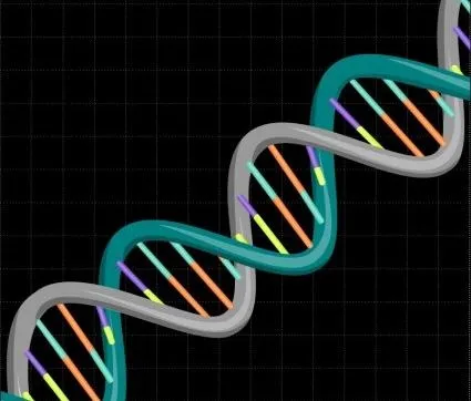 DNA