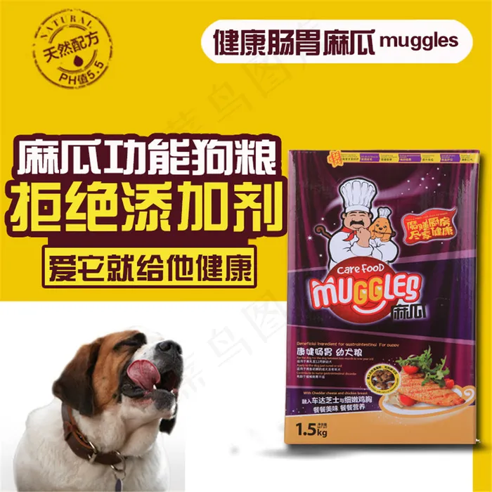 宠物狗粮主图psd模版下载