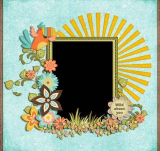 欧美鹦鹉剪贴相框图片