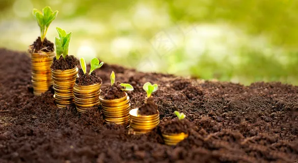 金币嫩芽小树苗孵化培育理财商务金融财富主题素材 金币嫩芽小树苗孵化培育理财商务金融财富主题素材