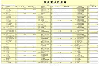 事业支出明细表