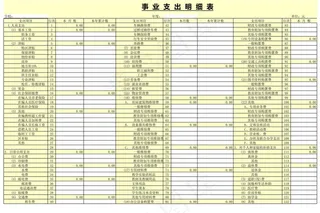 事业支出明细表