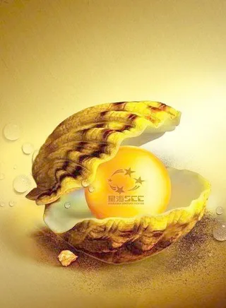 绝好的广告素材：贝壳珍珠psd分层...