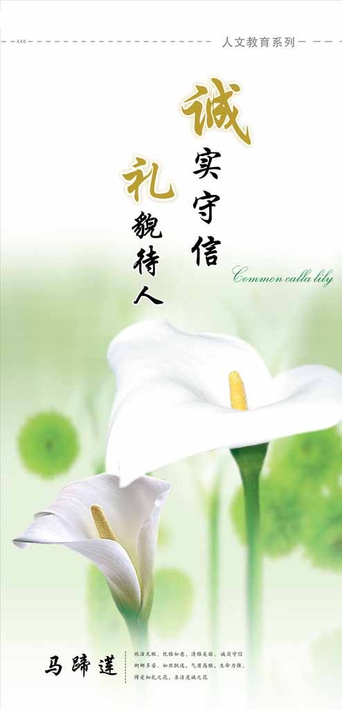 国学教育展板psd模版下载
