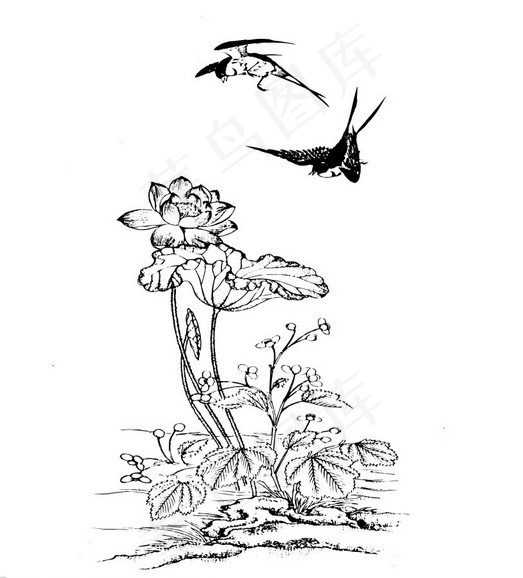 莲花燕子矢量图