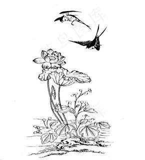 莲花燕子矢量图