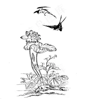 莲花燕子矢量图 莲花燕子矢量图
