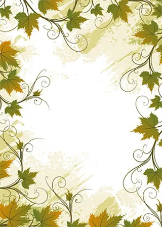 花边边框矢量藤植物材料