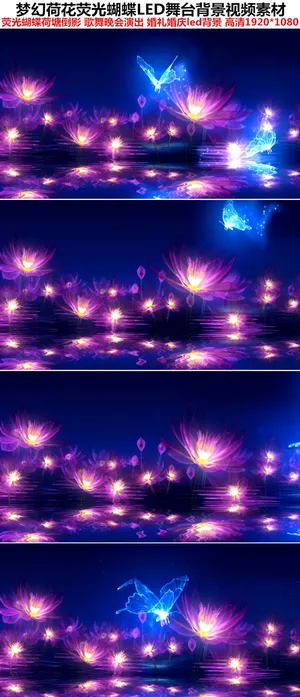 梦幻荷花荧光蝴蝶LED舞台背景视频...