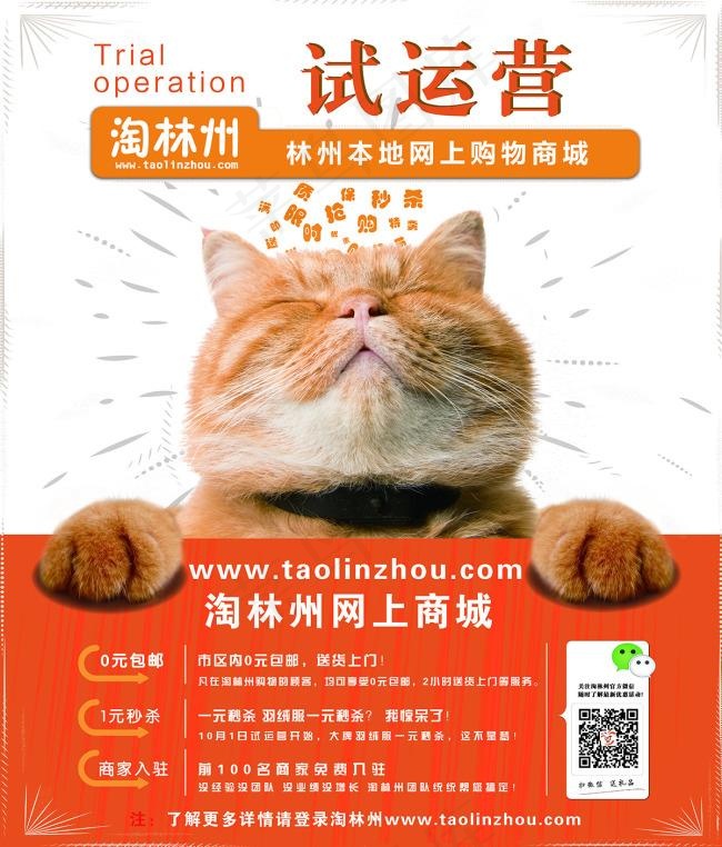 淘林州网上商城试运营海报
