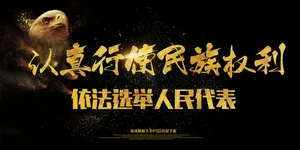 认真行使民主权力依法选举人民代表展...