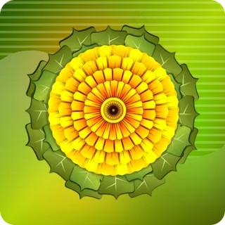 somekinda花 somekinda花