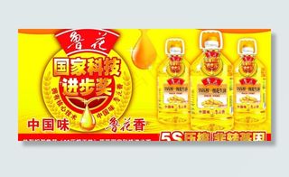 鲁花2013创新奖围图片