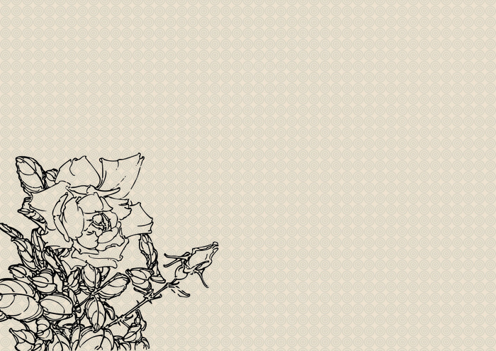 简约白描花卉图
