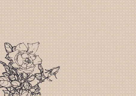 简约白描花卉图 简约白描花卉图