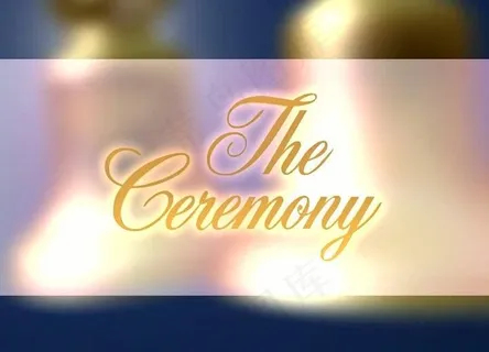 婚礼视频素材图片 婚礼视频素材图片