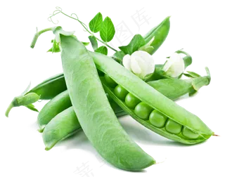 新鲜蔬菜水果集合设计png素材