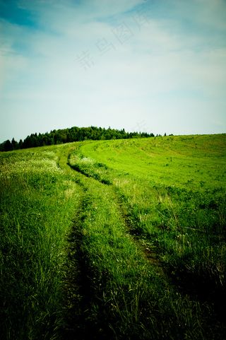 长着草的小路图片