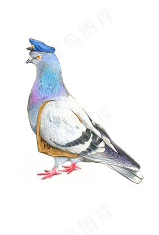 燕子海鸥飞鸟白鸽小鸟剪影图片素材