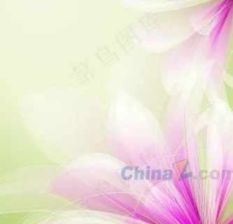 幻彩花卉装饰矢量背景图