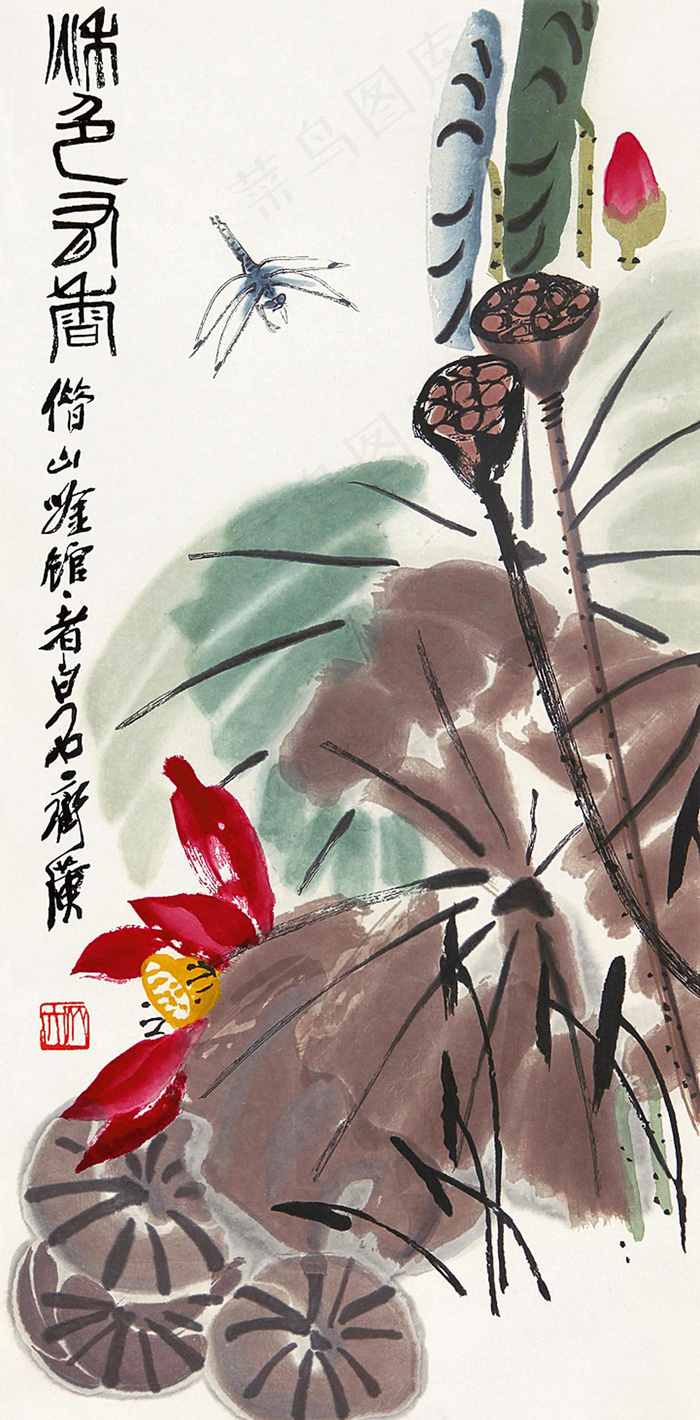 蜻蜓荷花图片