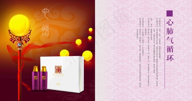 美体画册psd模版下载