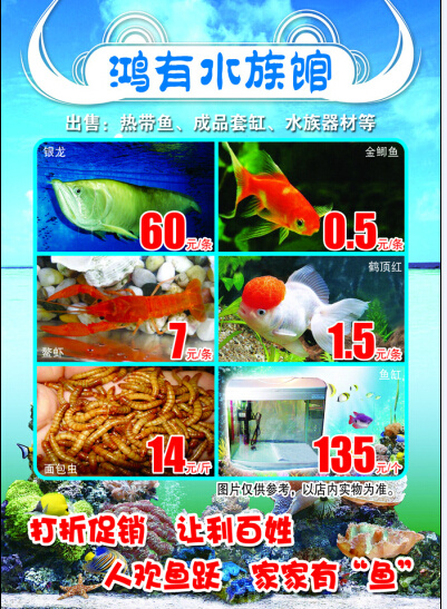 水族馆DM广告单