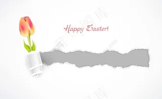 郁金香的脸插画矢量春天背景