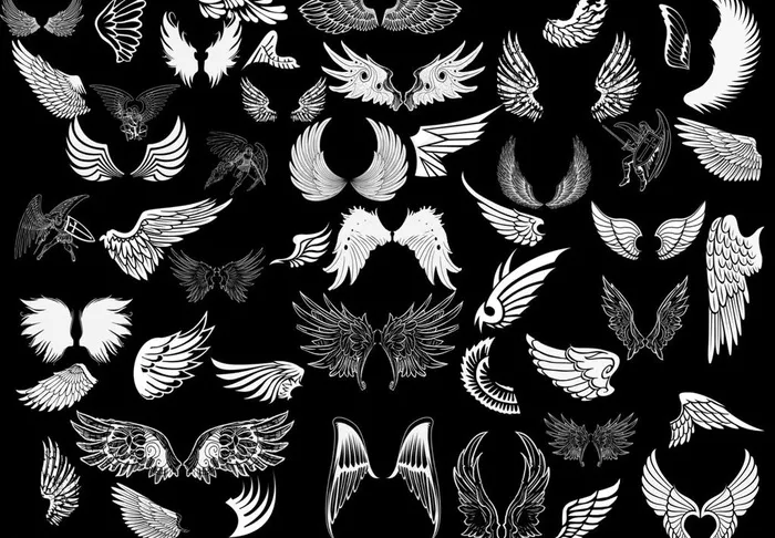 动物翅膀笔刷图片psd模版下载