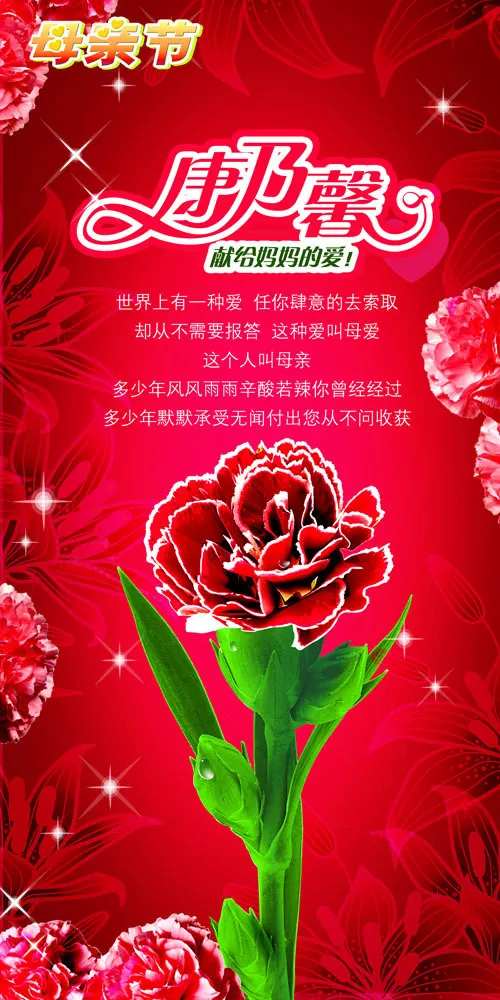 母亲节康乃馨海报素材(3437X5031(DPI:300))psd模版下载