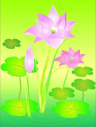 矢量图仿美术绘画矢量-荷花图片