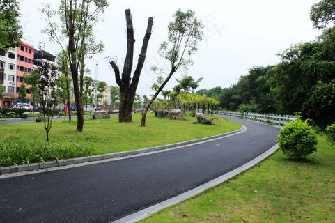 柏油路人行道绿化带图片