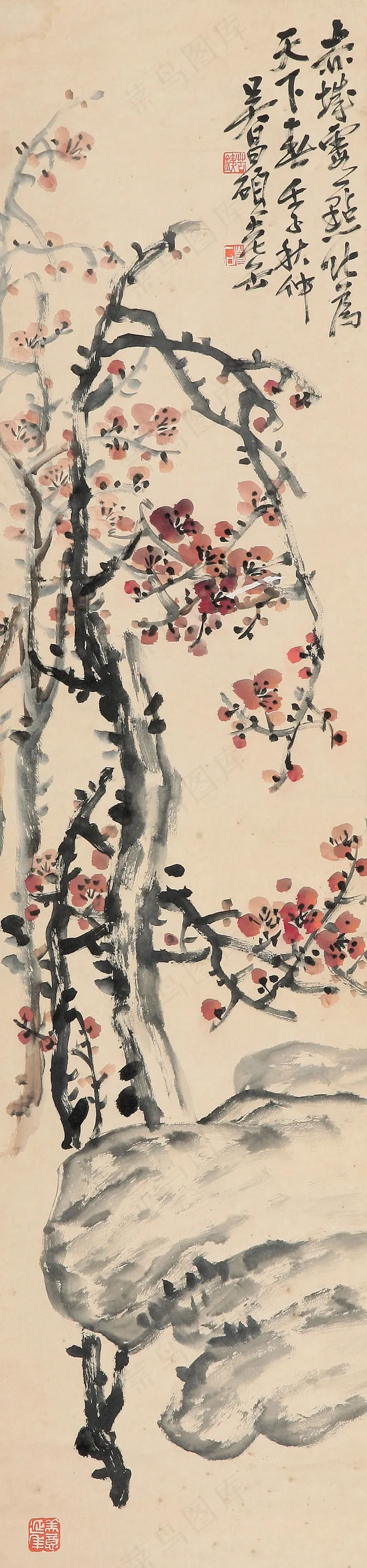 梅花图片