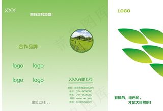 绿色食品 绿茶三折页图片
