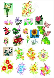 各种矢量花 各种矢量花