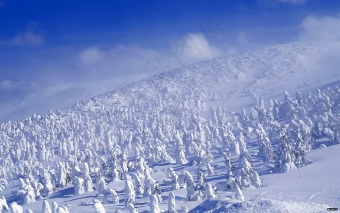 高清电脑桌面背景壁纸