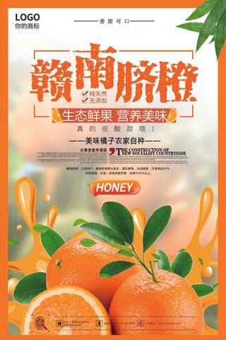2017年橘色大气赣南脐橙海报