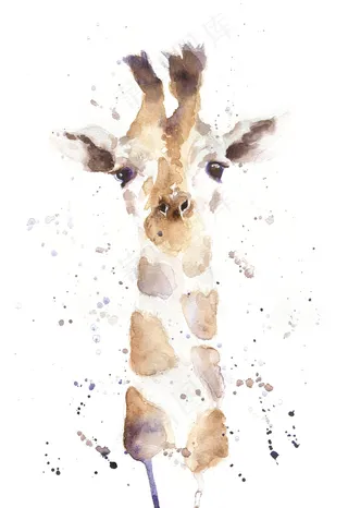 水彩手绘动物和鸟类PNG素材