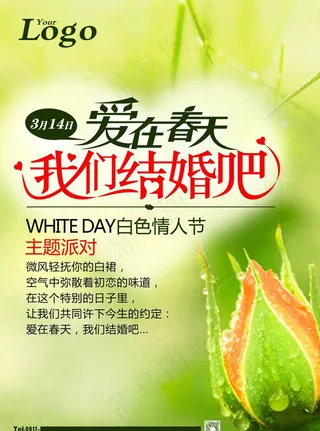 爱在春天 我们结婚吧主题海报图片