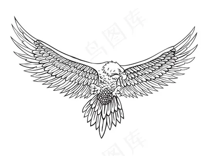 白描的鹰矢量素材 白描的鹰矢量素材